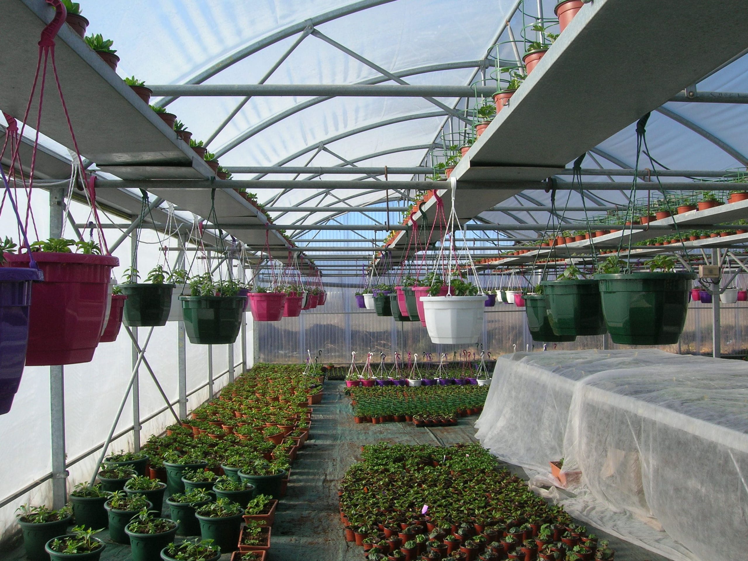 au fil des saisons (11)