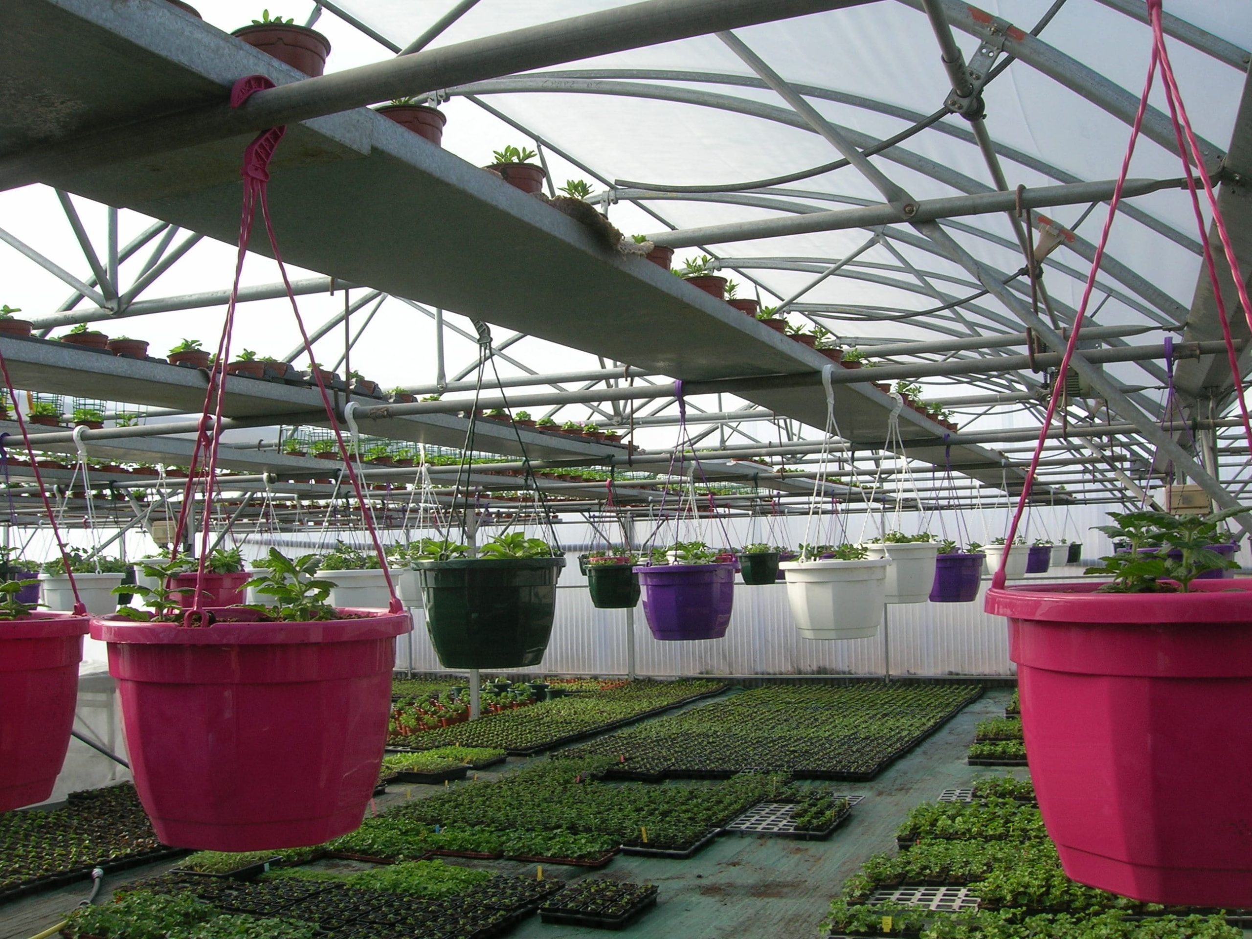 au fil des saisons (18)