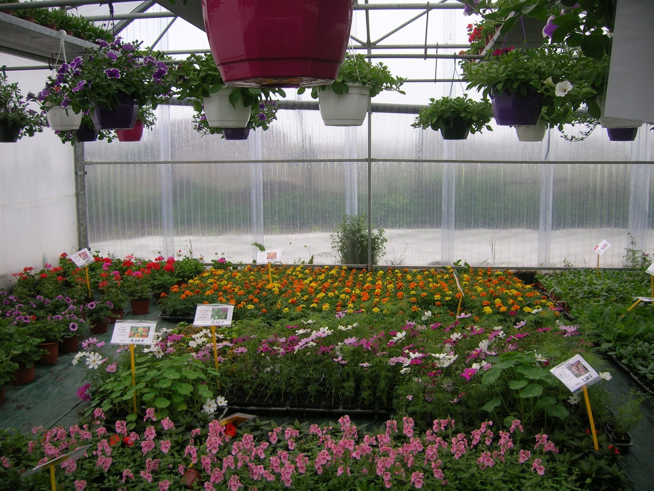 au fil des saisons (19)