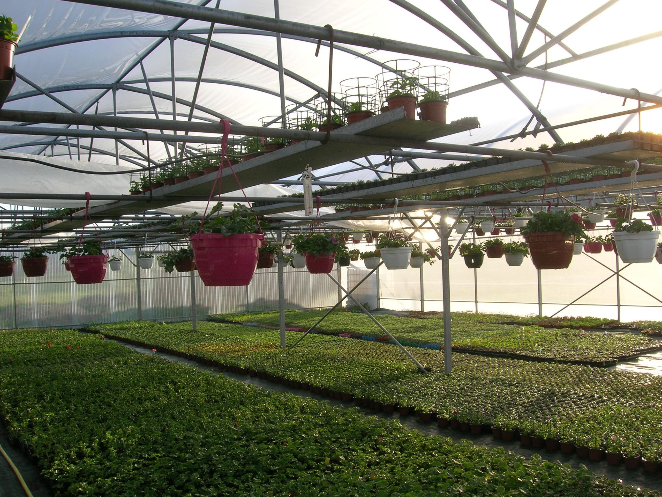 au fil des saisons (21)