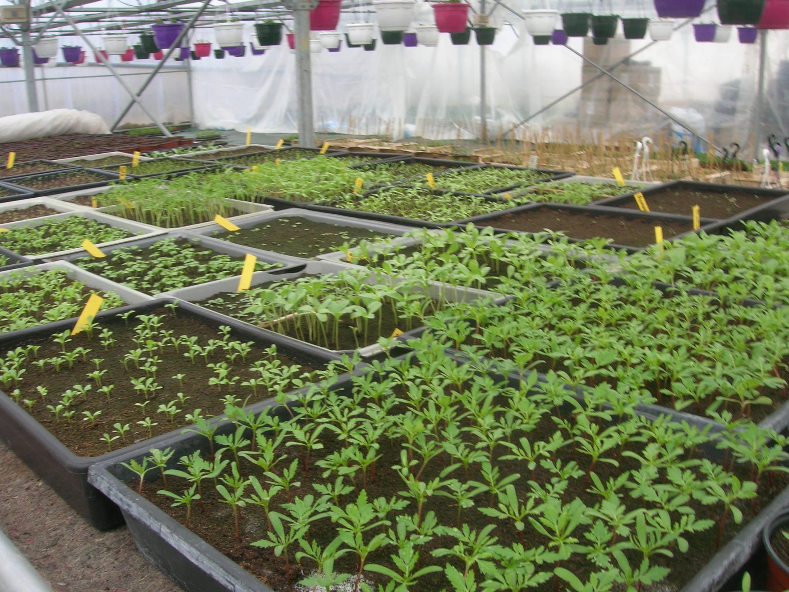 au fil des saisons (7)