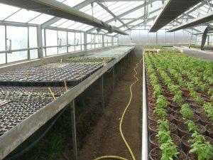 au fil des saisons (8)