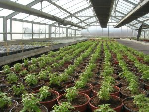 au fil des saisons (9)